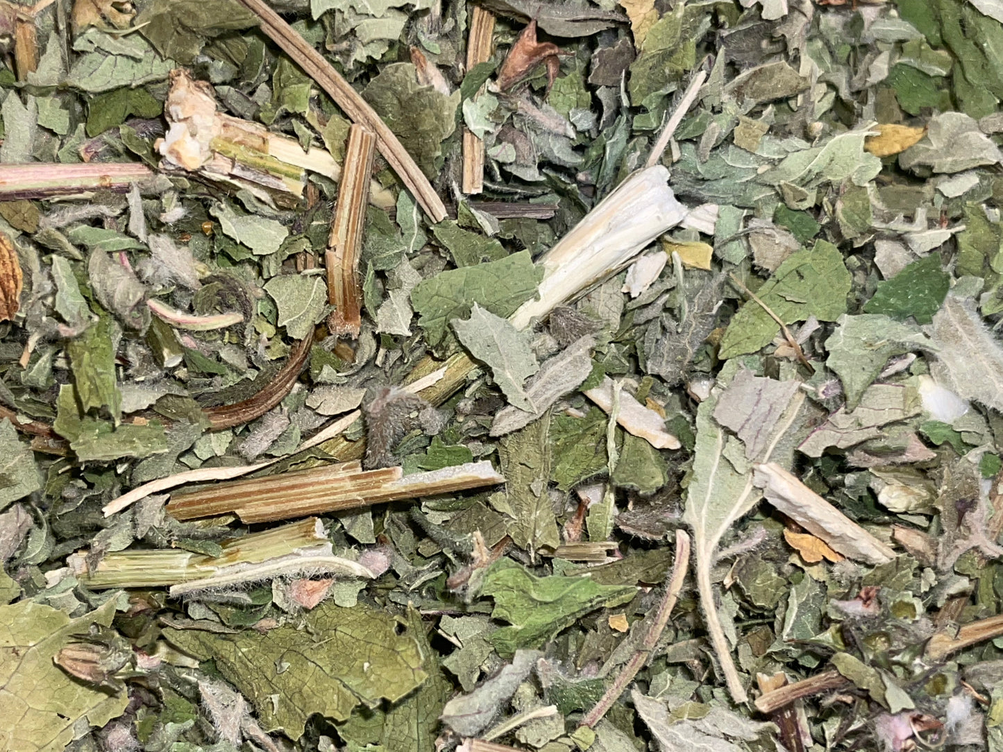 Motherswort