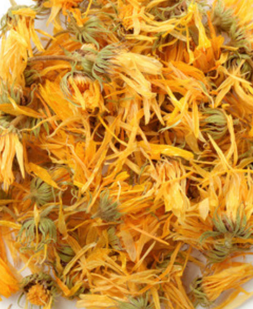 Calendula