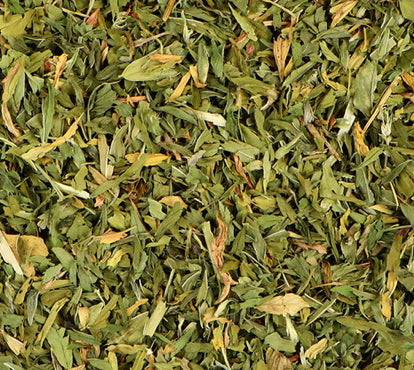 Alfalfa Leaf