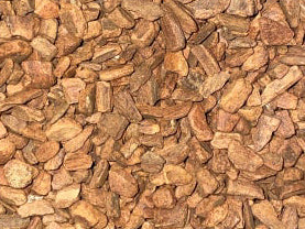Cinnamon Root