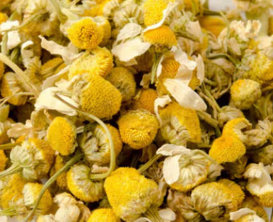Chamomile
