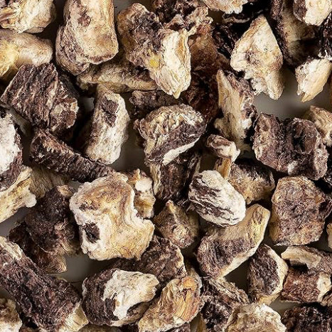 Dandelion Root