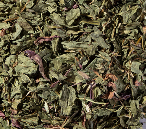 Echinacea