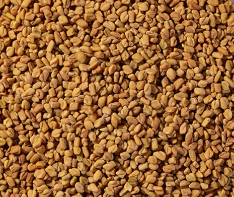 Fenugreek