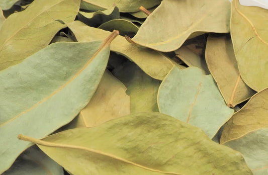 Guava Leaves