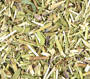 Hyssop
