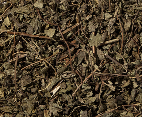 Lemon Balm