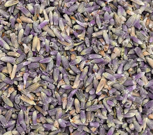 Lavender Buds
