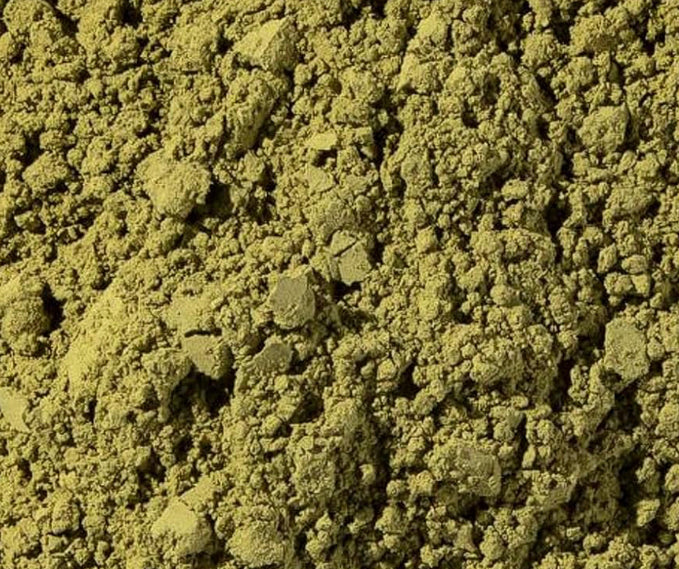 Moringa Powder