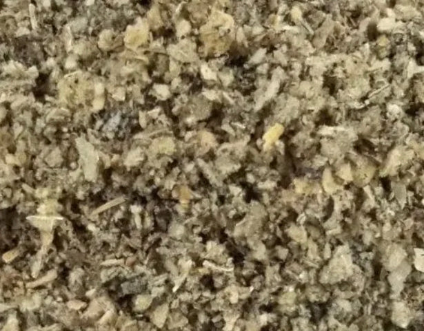 Mullein Leaf