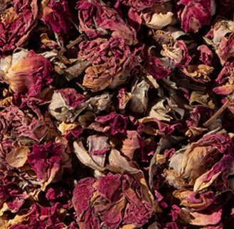 Red Rose Buds