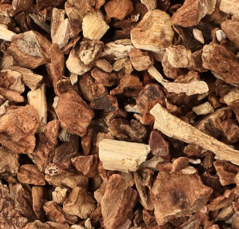 Sarsaparilla