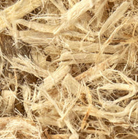 Slippery Elm