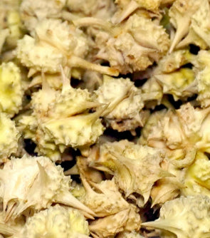 Tribulus Fruit
