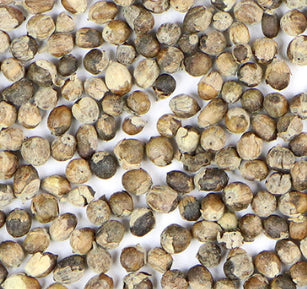 Vitex