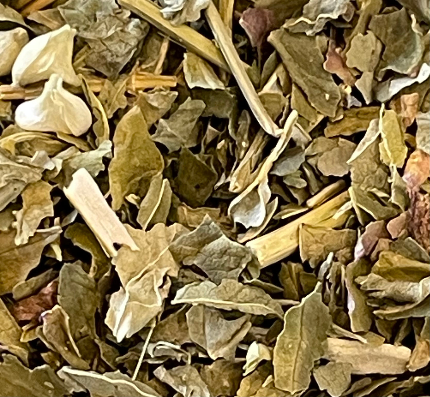 Skullcap