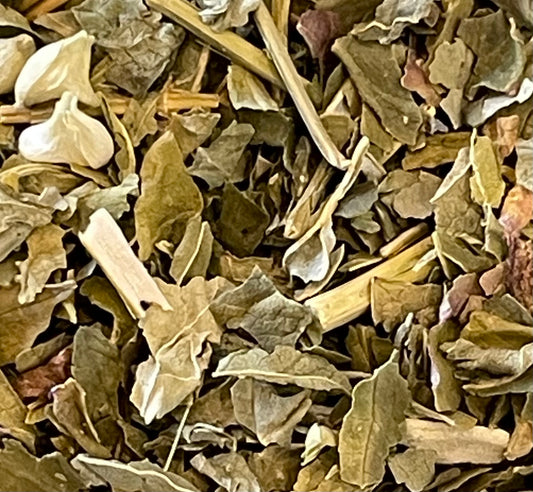 Skullcap